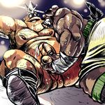  bald_bull donkeypunch(artist) king_hippo punch_out tagme 