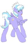  cloudchaser friendship_is_magic my_little_pony sibery tagme 