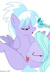 cloudchaser flitter friendship_is_magic medley my_little_pony 