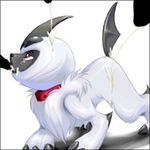  absol pokemon tagme 