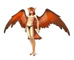  avian bird blue_eyes blush body_hair bowie dagger_leonelli feathers happy_trail male navel nipples owl plain_background pubes pubic_hair solo underwear white_background wings 