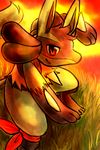  grass haychel looking_at_viewer lucario male nintendo orange_theme pok&#233;mon pok&eacute;mon red_eyes solo sunset video_games 