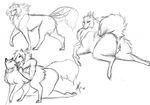  anthro canine dog duo female feral from_behind hairtuss kissing looking_back lying mammal on_front pussy raised_tail side_view sketch solo 