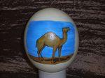  camel egg feral karja ostrich ostrich_egg painted painting real solo 