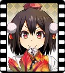  film_strip hat looking_at_viewer mouth_hold shameimaru_aya shimoda-kon short_hair smile solo tokin_hat touhou 