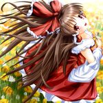  ascot bow breasts brown_eyes brown_hair cleavage detached_sleeves downblouse dress field flower flower_field hair_bow hair_tubes hakurei_reimu head_back long_hair looking_at_viewer money open_mouth red_dress small_breasts smile solo tamiteddoo_(teaspoon0204) touhou wide_sleeves 