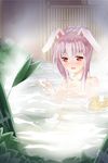  animal_ears bad_id bad_pixiv_id bathing blush bottle breasts bunny_ears cup floating floating_object hair_up nagatsuki_shiwasu onsen open_mouth pink_hair red_eyes reisen_udongein_inaba small_breasts smile solo steam tokkuri touhou 
