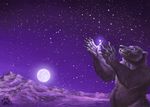  bear big_dipper blotch chubby constellation magic mammal moon night outside scenery solo stars ursa_major 