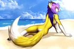  azure_hair blue_hair canine female fox hair invalid_tag lens_flare mammal pacmancorp purple_hair sand seaside sky soja94 solo sonia sun two_tone_hair yellow_eyes yellow_fur 