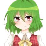  ascot blush green_hair kazami_yuuka ochazuke plaid red_eyes simple_background solo tears touhou upper_body white_background 