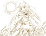  animal_ears brown holo long_hair monochrome sketch solo spice_and_wolf tail wheat wolf_ears 