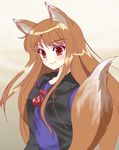  animal_ears holo long_hair lowres solo spice_and_wolf tail wolf_ears 