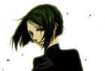  1girl bob_cut fate/zero fate_(series) green_eyes green_hair hisau_maiya short_hair solo 