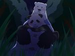  bear blush chubby gay kemono male mammal okatana panda penis polar_bear sex shirokuma shirokuma_cafe size_difference unknown_artist 