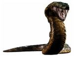  capcom fang lowres reptile resident_evil scales snake yawn_(resident_evil) 