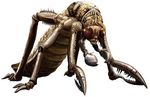  capcom claws insect lowres no_humans pincers plague_crawler resident_evil 