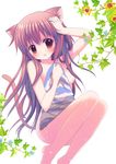  animal_ears cat_ears cat_tail flower hair_censor highres kuromaru long_hair nude original simple_background solo tail towel wet white_background 