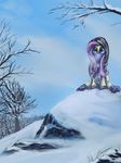  blue_eyes clothed clothing detailed_background equine female fluttershy_(mlp) friendship_is_magic hair hi_res hood horse huussii long_hair looking_at_viewer mammal my_little_pony pink_hair pony rock scarf scenery sitting snow solo sweater tree winter wood 