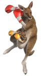  gloves highres kangaroo mammal namco roger_(tekken) tekken 