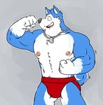  bulge canine dog dog_tags exile husky jockstrap male mammal muscles necklace nipples road_rovers solo topless underwear vasuki 