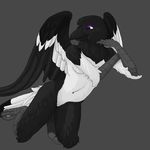  bleuhawke breasts feathers female leaning magpie solo wings 