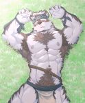 abs absurd_res anthro blush bottomwear canid canine canis clothing grass hi_res horkeu_kamui_(tas) lifewonders loincloth lying male mammal muscular muscular_anthro muscular_male nipples on_back pecs plant sir_arion solo tokyo_afterschool_summoners wolf