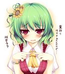  ascot blue_eyes blush bracelet fingers_together flower flower_bracelet green_hair hair_flower hair_ornament jewelry kazami_yuuka kusano_(torisukerabasu) plaid red_eyes solo touhou translated 