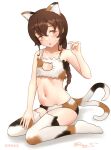  1girl adapted_costume animal_ear_legwear animal_ears bra braid brown_hair cat_cutout cat_ear_legwear cat_ear_panties cat_ears cat_lingerie cat_tail cleavage_cutout clothing_cutout flat_chest frilled_bra frills kantai_collection long_hair meme_attire multicolored_bra multicolored_clothes multicolored_legwear multicolored_panties multiple_tails one-hour_drawing_challenge orange_eyes panties ray.s simple_background single_braid sitting solo souya_(kancolle) tail thighhighs two_tails underwear underwear_only wariza whiskers white_background 