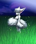  canine cloud female fennec field firefly fluffy_tail fox fur grass holding_tail mammal nude otania pacmancorp perky_ears pink_nose red_eyes sky solo standing white_fur 