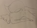 absurd_res anthro butt canid canine fox hi_res kentine male mammal rear_view sketch solo unfinished