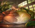 alligator alligatorid anthro belly belly_bump belly_press belly_to_belly big_belly crocodilian day duel duo eye_contact fattydragonite hi_res hot_spring hot_tub inside lamp lantern looking_at_another male male/male mammal moobs nude obese obese_anthro obese_male onsen overweight overweight_anthro overweight_male plant reptile rhinoceros scalie smile smirk soft_belly splash tail water wet window