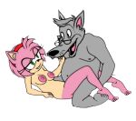 amy_rose canid canine canis doctor duo female from_front_position lying male male/female mammal missionary_position on_back sega sex sonic_the_hedgehog_(series) wolf