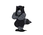 anthro biceps big_muscles crossed_arms glowing glowing_eyes kheel male mammal muscular muscular_legs muscular_male pecs procyonid raccoon simple_background sleeveless_hoodie white_background