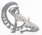  anthro civet civet_cat erection karja looking_at_viewer male penis pose solo 