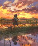  backpack bad_id bad_pixiv_id bag cat child cloud instrument landscape original pon_(cielo) power_lines randoseru recorder reflection rice_paddy scenery school_uniform short_hair solo sunset walking water 