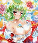  at_classics breasts cleavage flower green_hair kazami_yuuka large_breasts marker_(medium) red_eyes sample solo touhou traditional_media 