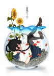  bad_id bad_pixiv_id black_hair book braid fish fishbowl flower himano_(artist) in_container legs_up lying on_back original pantyhose partially_submerged reading school_uniform serafuku solo sunflower translated twin_braids 