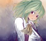  ascot bad_id bad_pixiv_id dress_shirt green_hair head_tilt kazami_yuuka parted_lips plaid plaid_vest red_eyes shirt short_hair solo suisa touhou upper_body vest 