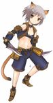  animal_ears brown_eyes dagger dual_wielding fe final_fantasy final_fantasy_xi flat_chest gloves holding knife midriff nagato_yuki short_hair silver_hair solo suzumiya_haruhi_no_yuuutsu tail thief_(final_fantasy) weapon 