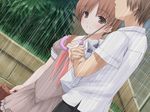  1girl couple dutch_angle game_cg hetero hoshizaki_anon natsunone non-web_source ooji rain shared_umbrella umbrella 