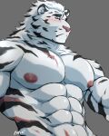 abs absurd_res anthro arknights blush eyebrows felid grey_background hi_res hypergryph male mammal mountain_(arknights) muscular muscular_anthro muscular_male navel nipples nnknwnn_(artist) pantherine pecs simple_background solo stripes studio_montagne tiger white_body