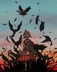  alternate_costume animal bad_id bad_pixiv_id bird bridal_gauntlets brown_hair cape crow expressionless feathers flock green_eyes hat highres looking_at_viewer looking_back mask pom_pom_(clothes) shameimaru_aya shimana_(cs-ts-az) short_hair solo tokin_hat touhou wings 