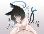  1boy 1girl 4jiri animal_ears bar_censor black_eyes black_hair blue_archive blue_halo breasts cat_ears cat_tail censored gradient_background halo hetero highres kikyou_(blue_archive) medium_breasts multiple_tails nipples sex short_hair tail translation_request two_tails vaginal 