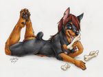  blue_eyes bone breasts canine doberman dog ear_piercing female gauged_ear hair hindpaw licking looking_at_viewer mammal nipples nude paws piercing pinup plain_background pose seductive silentravyn solo toes tongue 