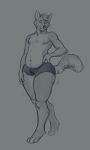 2022 anthro belly biped boxer_briefs boxer_briefs_only canid canine cillaroz clothed clothing digitigrade fox full-length_portrait fur greyscale hair hand_on_hip hand_on_leg hand_on_thigh hi_res male mammal monochrome navel neck_tuft nipples portrait pose seductive signature slightly_chubby slightly_chubby_anthro slightly_chubby_male smile solo standing tail thick_thighs three-quarter_view topless tuft underwear underwear_only wide_hips