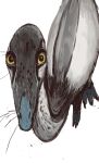 ambiguous_gender blue_body blue_scales claws coelophysis dinosaur feathered_dinosaur feathers feral high-angle_view looking_at_viewer mossa reptile scales scalie simple_background solo theropod whiskers white_background white_body white_feathers yellow_eyes