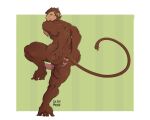 anthro balls brown_body brown_fur bubble_butt butt dcapmode fur genitals haplorhine hi_res intersex intersex/male long_tail male maleherm maleherm/male maleherm_(lore) mammal monkey nimbus_(romaantenebrae) penis primate pussy saggy_balls solo spread_butt spreading tail