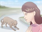 2014 absurd_res ambiguous_gender angry brown_body brown_fur canid canine canis domestic_dog duo female feral fur grass hi_res human mammal outside plant unknown_artist wikihow