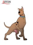  canine collar dog feral knot male mammal mayer0 penis scooby-doo scooby-doo_(series) solo 