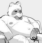 2024 anthro balls belly big_belly biped bow_tie canid canine erection furniture genitals kemono male mammal masshiro moobs navel nipples penis raccoon_dog sitting sofa solo tanuki